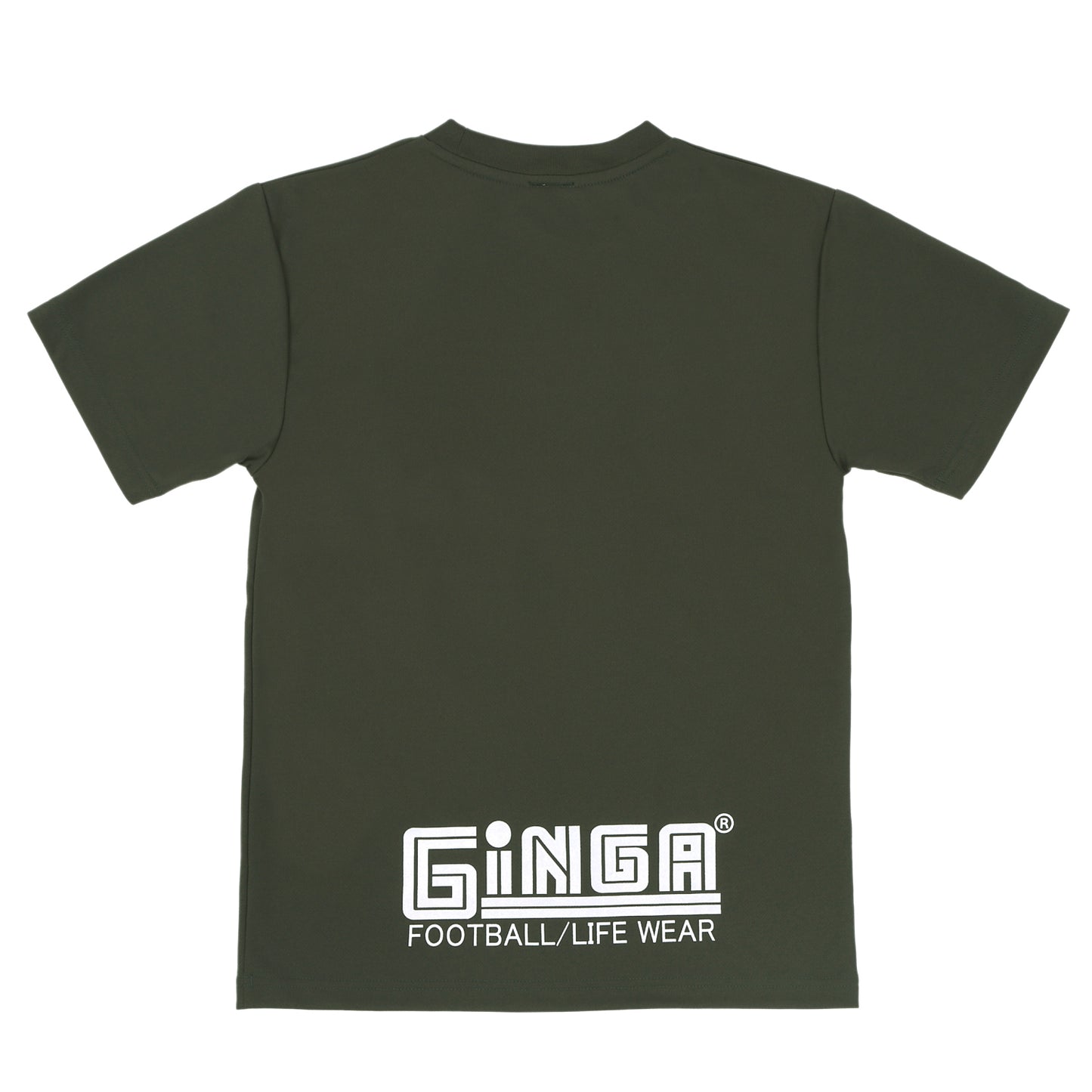 GINGA PRA 04 GG107261