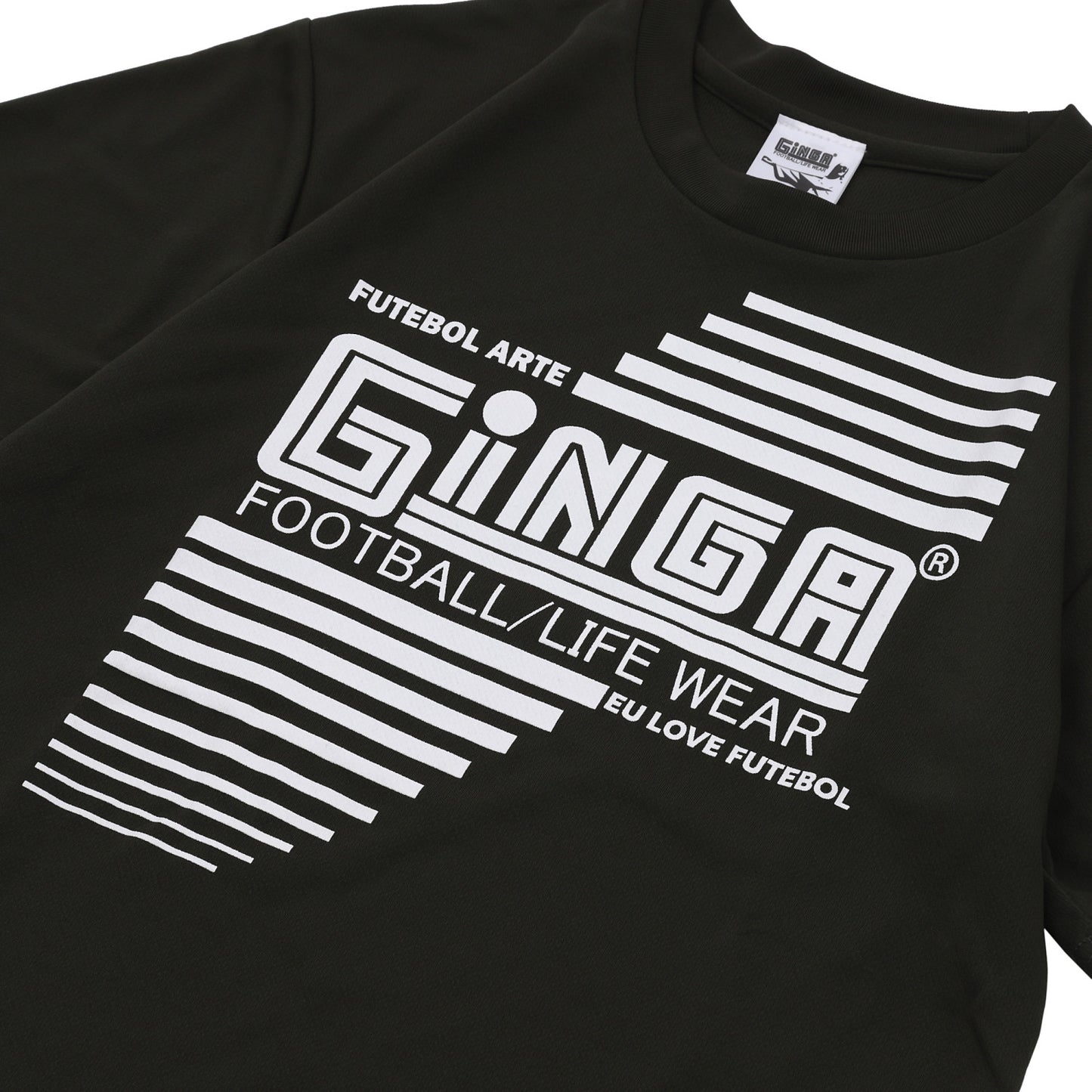 GINGA PRA 04 GG107261