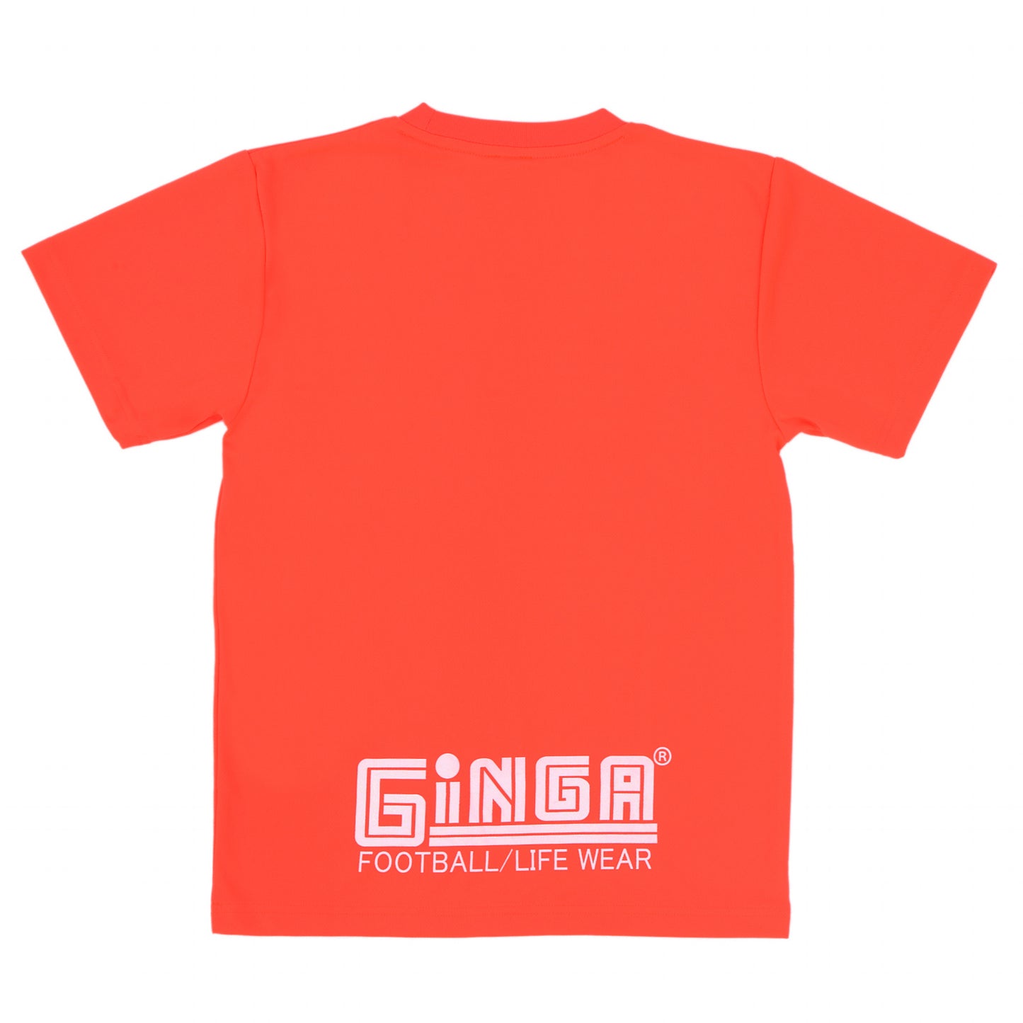 GINGA PRA 04 GG107261