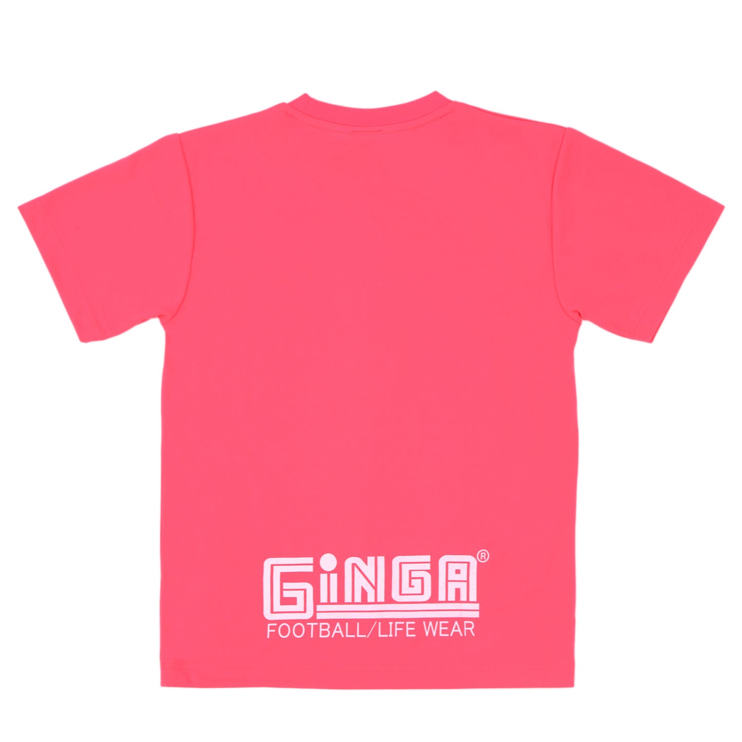 GINGA PRA 04 GG107261