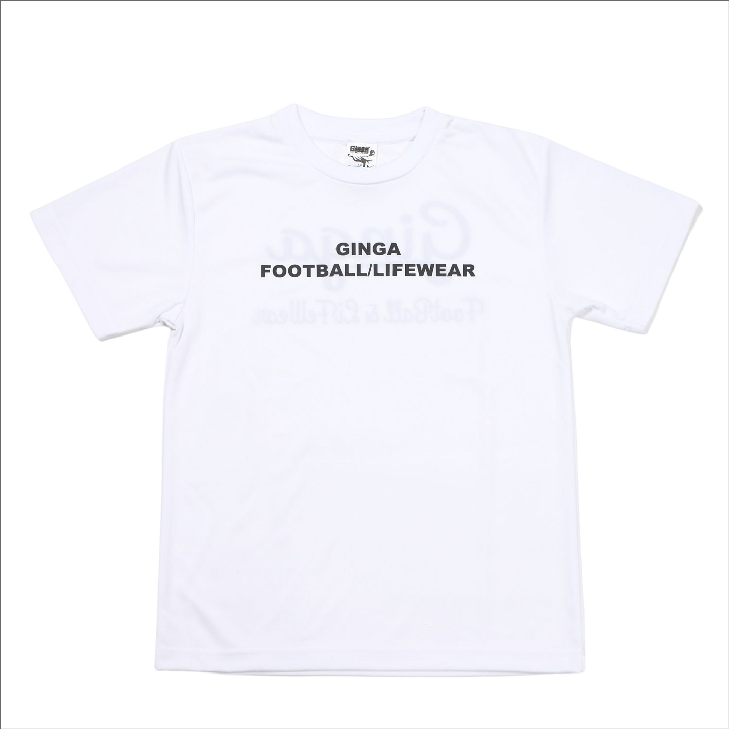 GINGA PRA 03 GG107204