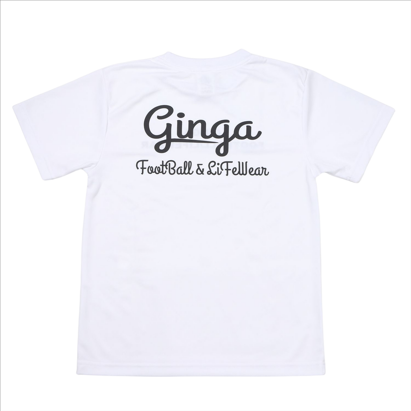 GINGA PRA 03 GG107204
