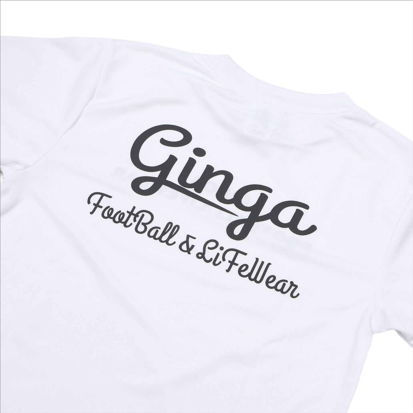 GINGA PRA 03 GG107204