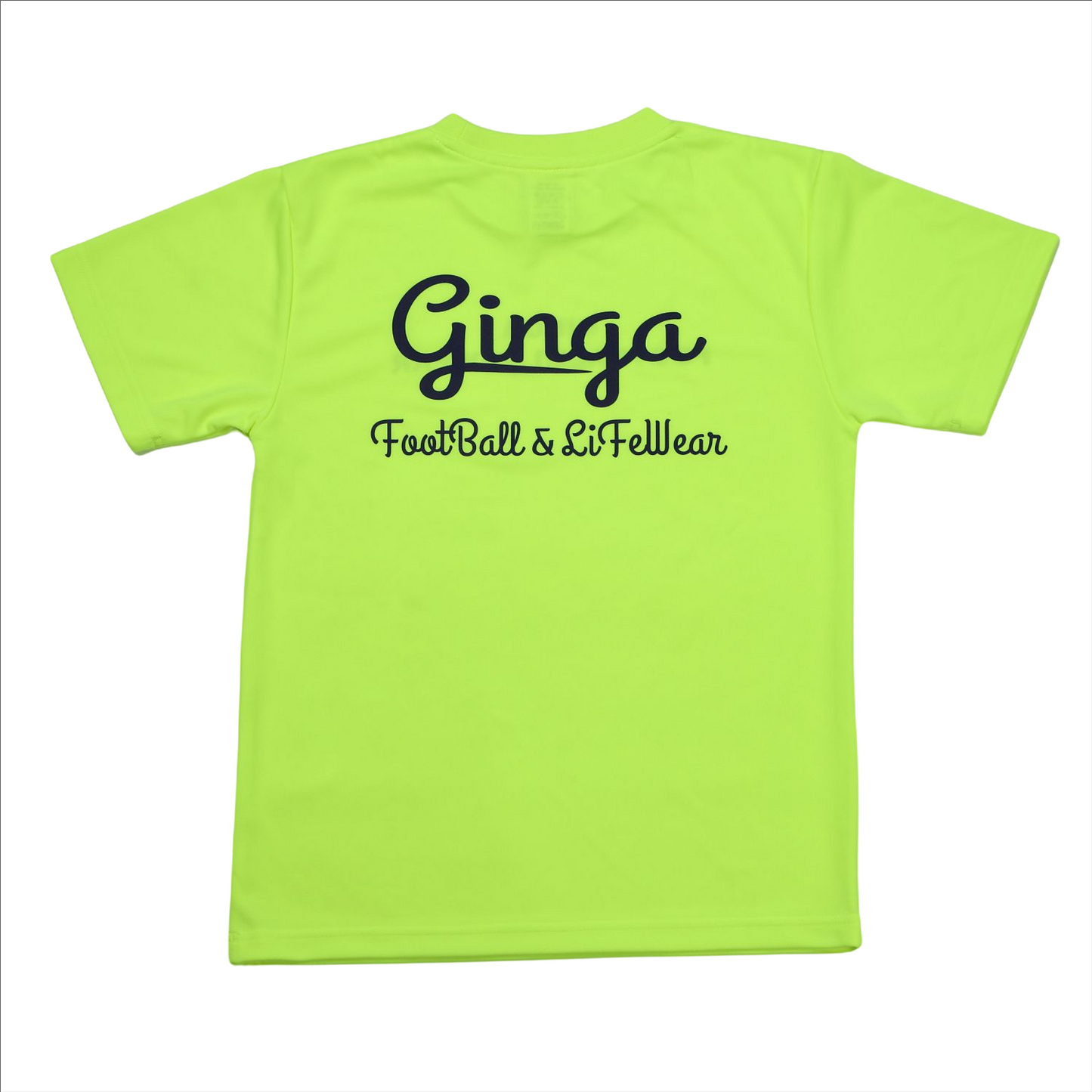 GINGA PRA 03 GG107204
