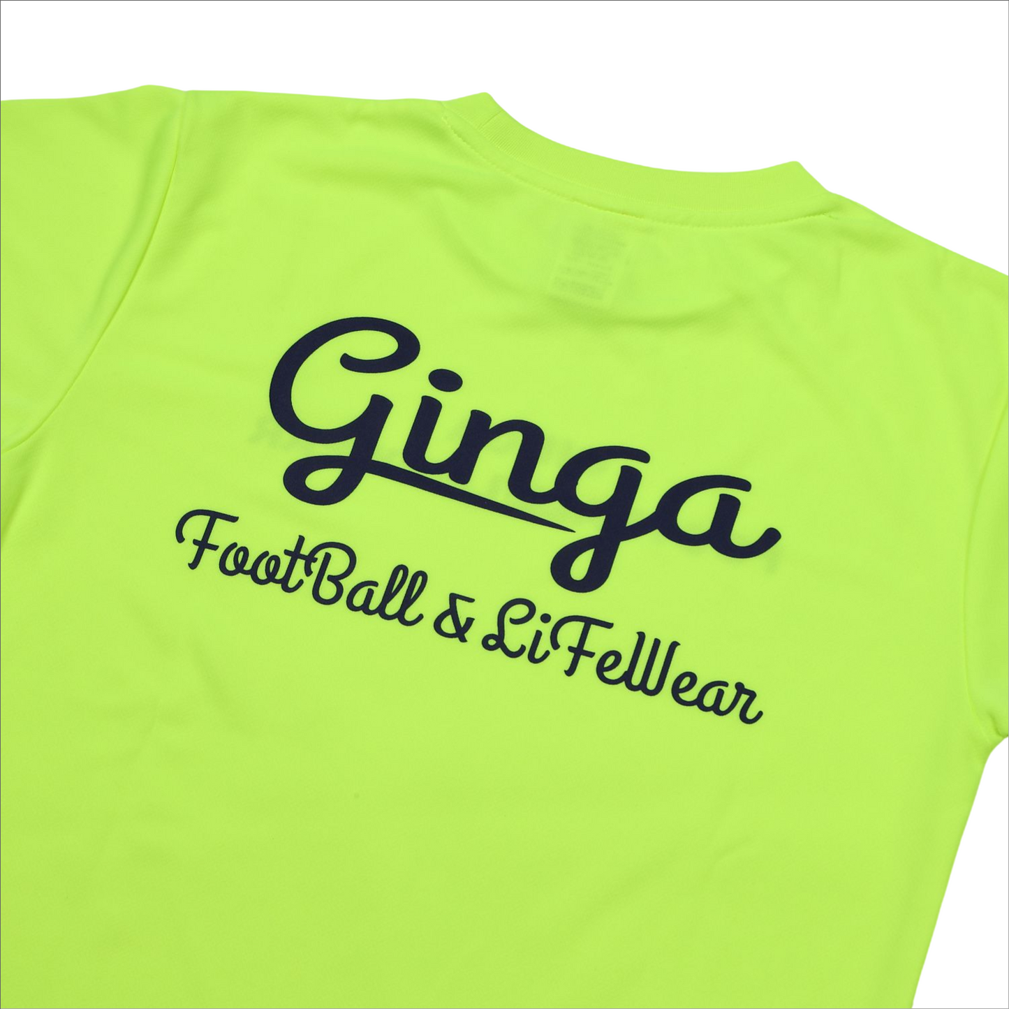 GINGA PRA 03 GG107204