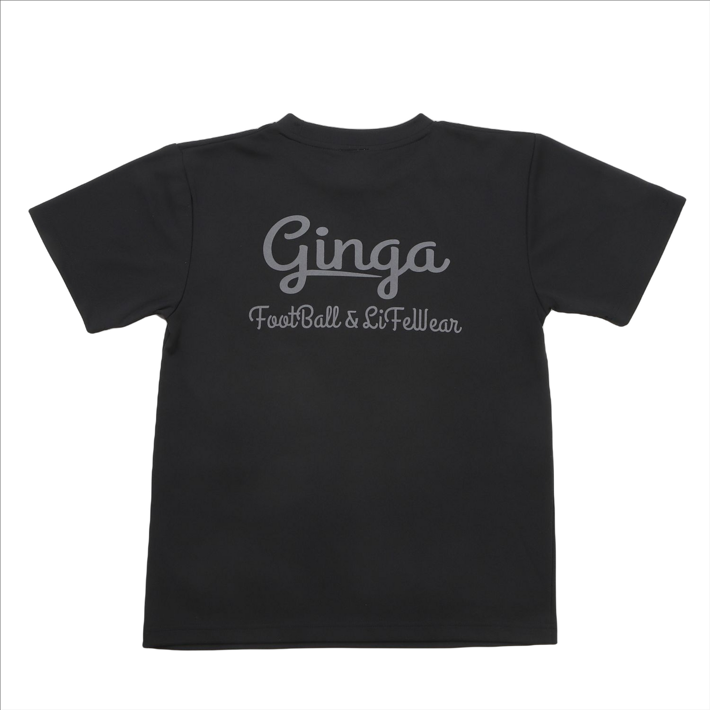 GINGA PRA 03 GG107204