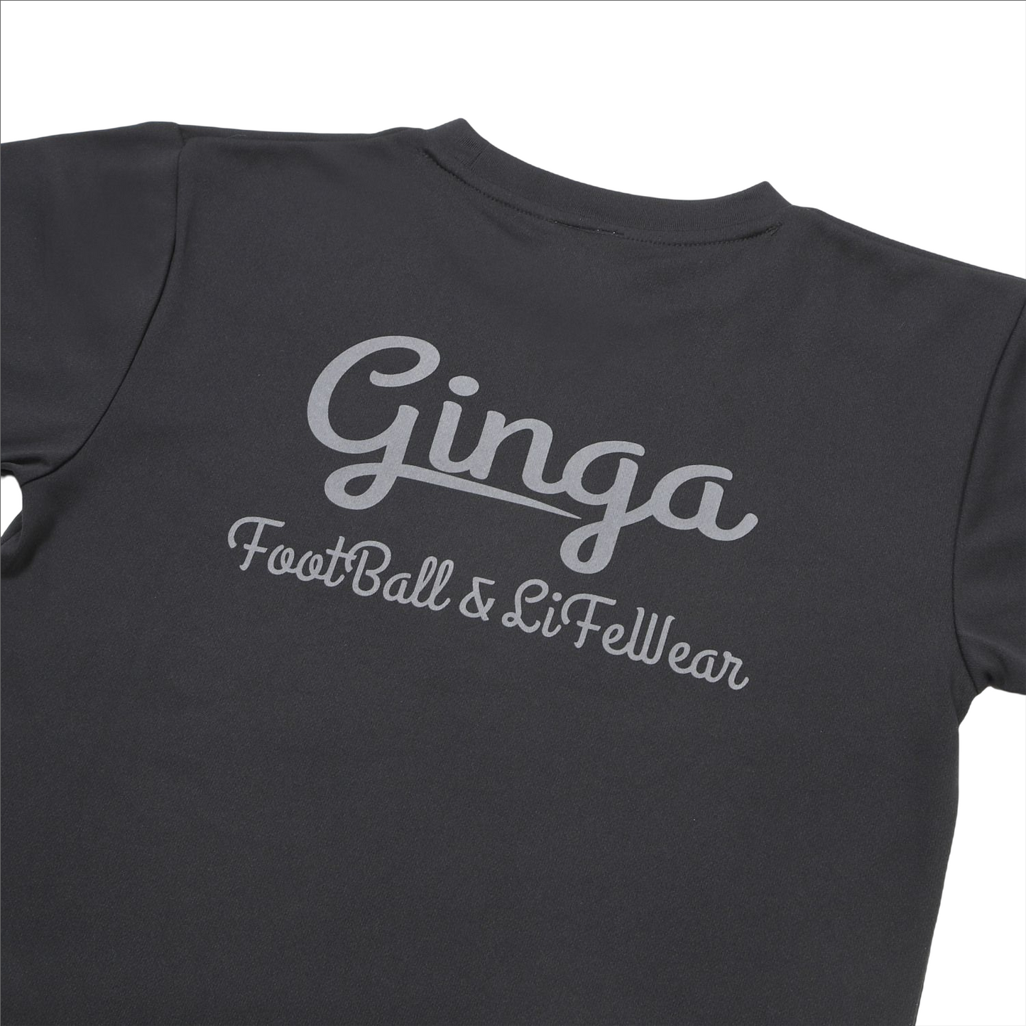 GINGA PRA 03 GG107204